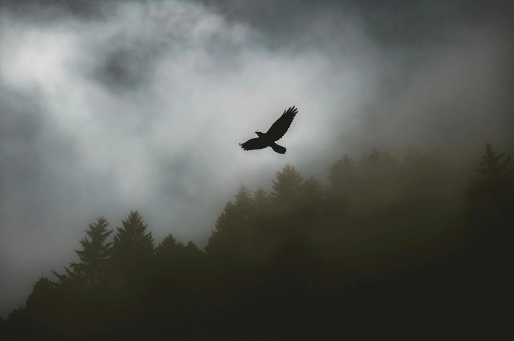 Warum der Adler das Symbol von NATIVE ist